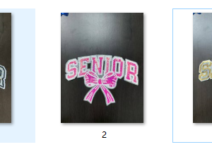 senior(all)