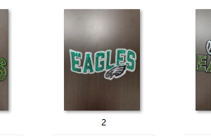 eagles(all)